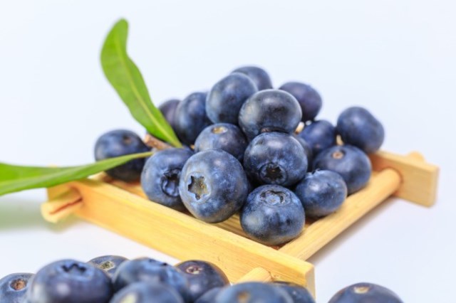 Manfaat Buah Blueberry untuk Kesehatan yang Perlu Anda Ketahui