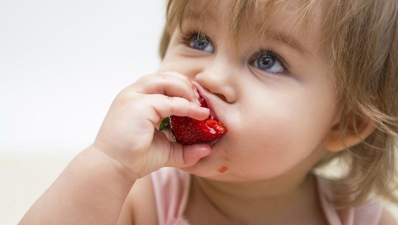 Langkah Menangani Anak Sulit Makan melalui Kreativitas Makanan Sehat Bergizi