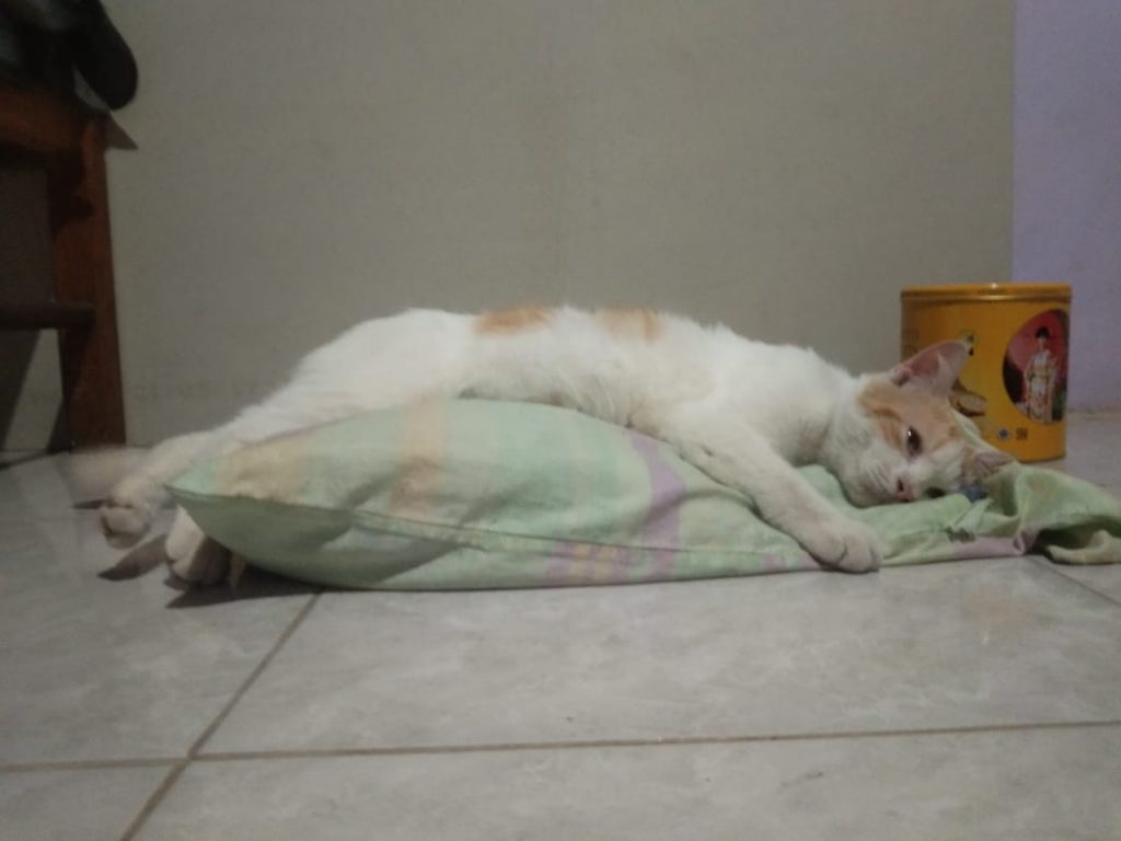 MAJUNYA TEKNOLOGI MENCIPTAKAN GENERASI MAGER