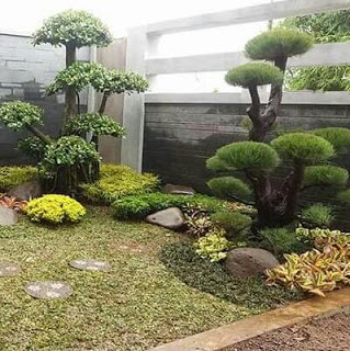 7 Ide Taman Minimalis Dalam Rumah yang Mudah Ditiru. Buat Sejuk dan Dingin!