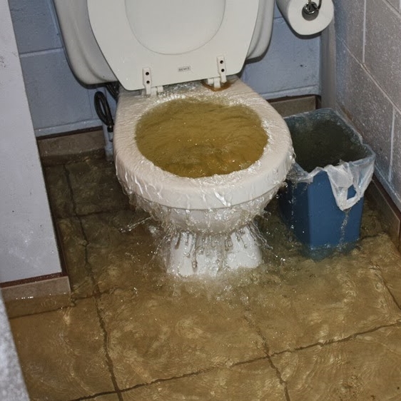 Beberapa Point yang harus dilakukan di saat sedot wc