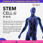 harga sop 100 dan utsukushhii