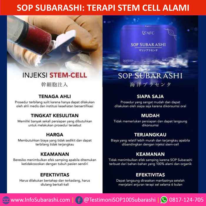 Bingung Cari Harga SOP Subarashi yang Ori?