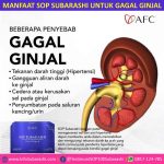 sop subarashi harga