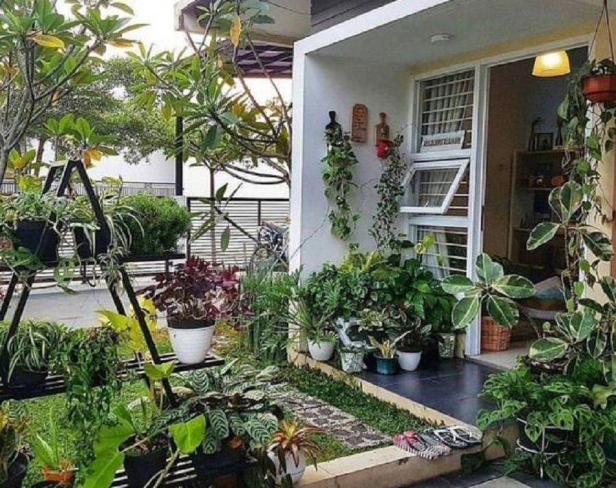 5 Tanaman Bunga untuk Dekorasi di Depan Rumah yang Cantik