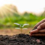 Cara Penggunaan Eco Farming yang Wajib Kamu Ketahui