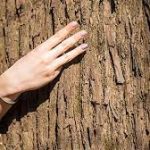 Rekomendasi Jenis dan Ukuran Banner Google Ads Terbaik