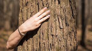 Rekomendasi Jenis dan Ukuran Banner Google Ads Terbaik