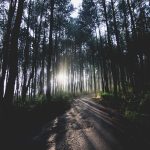 sunrise-gunung-pancar-f41167cc