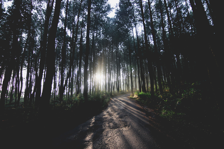 sunrise-gunung-pancar-f41167cc