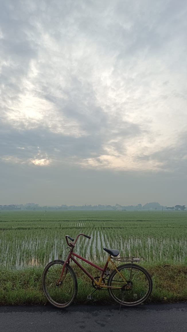 WhatsApp Image 2023-04-07 at 15.01.13