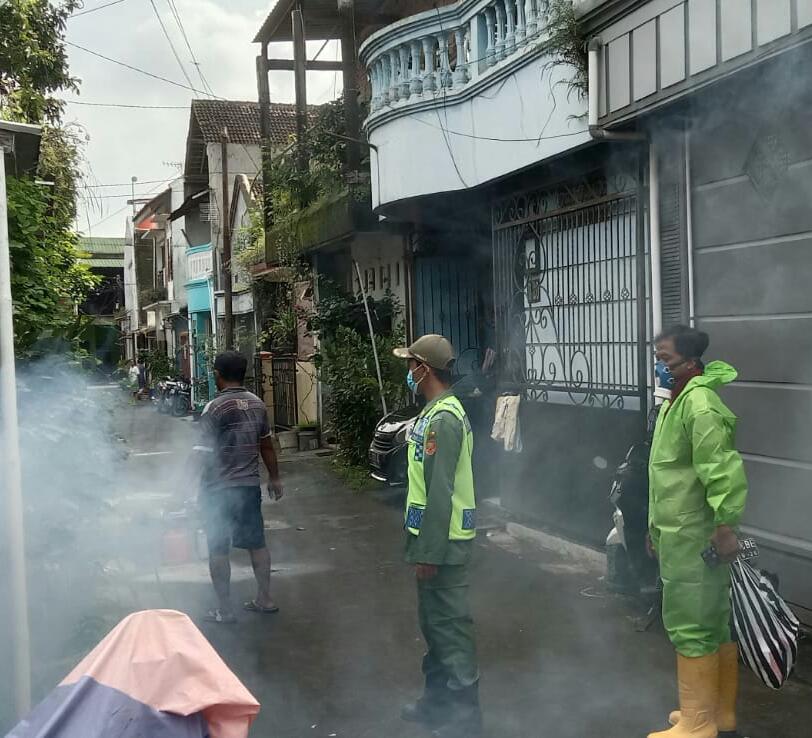 WhatsApp Image 2023-04-09 at 11.45.17