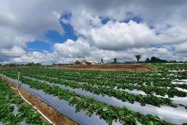 images - 2023-05-09T142329.035