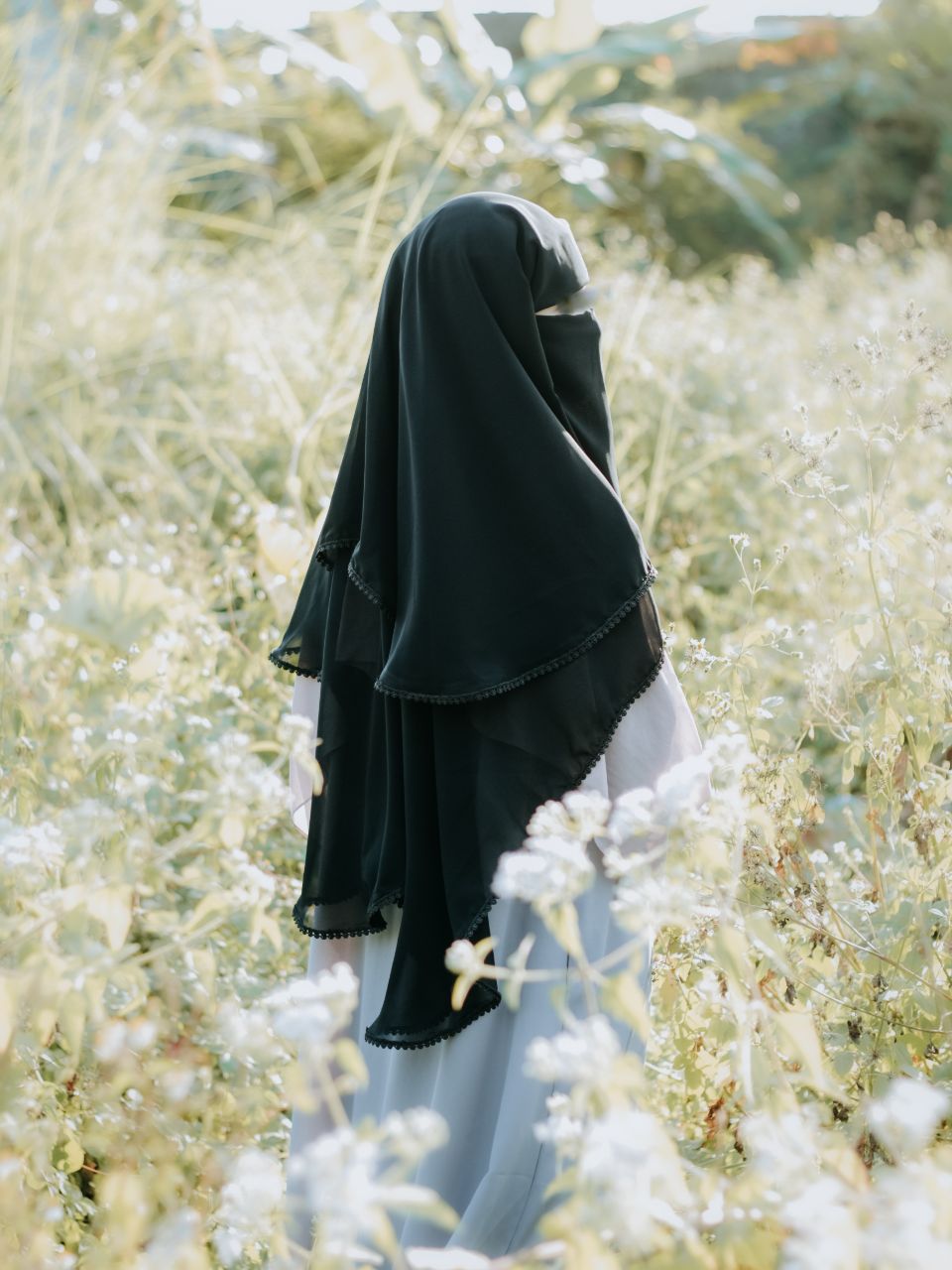 photo_6298790894064742490_y