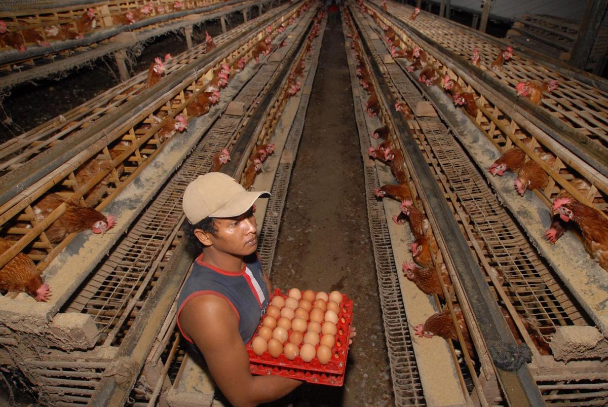 9085_366db920a7cde89bc5fc3a4db8ee8631