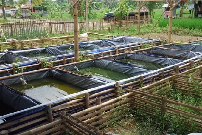 images - 2023-09-12T120712.996