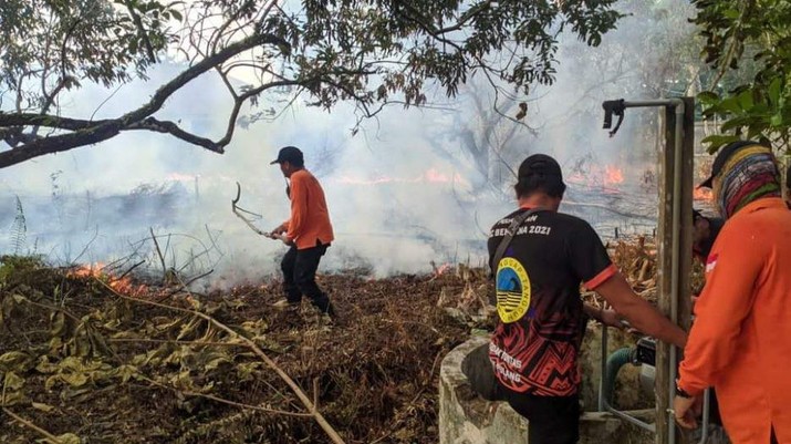 kejadian-kebakaran-hutan-dan-lahan-karhutla-di-kota-palangka-raya-kembali-meningkat-dalam-sepekan-terakhir_169