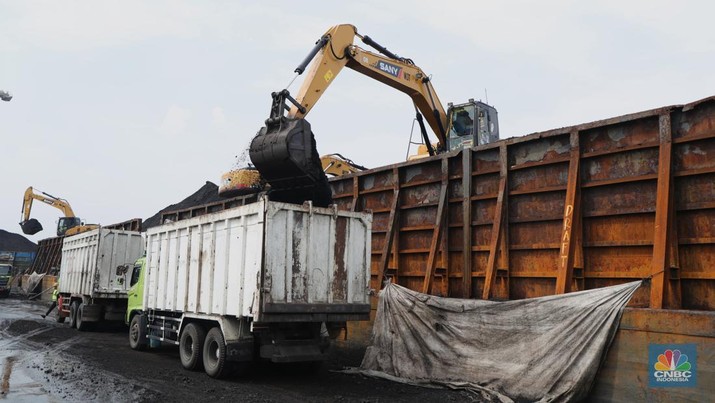 bongkar-muat-batu-bara_169